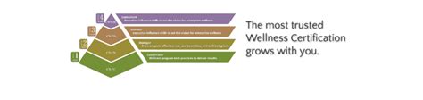 chapman institute wellness certification